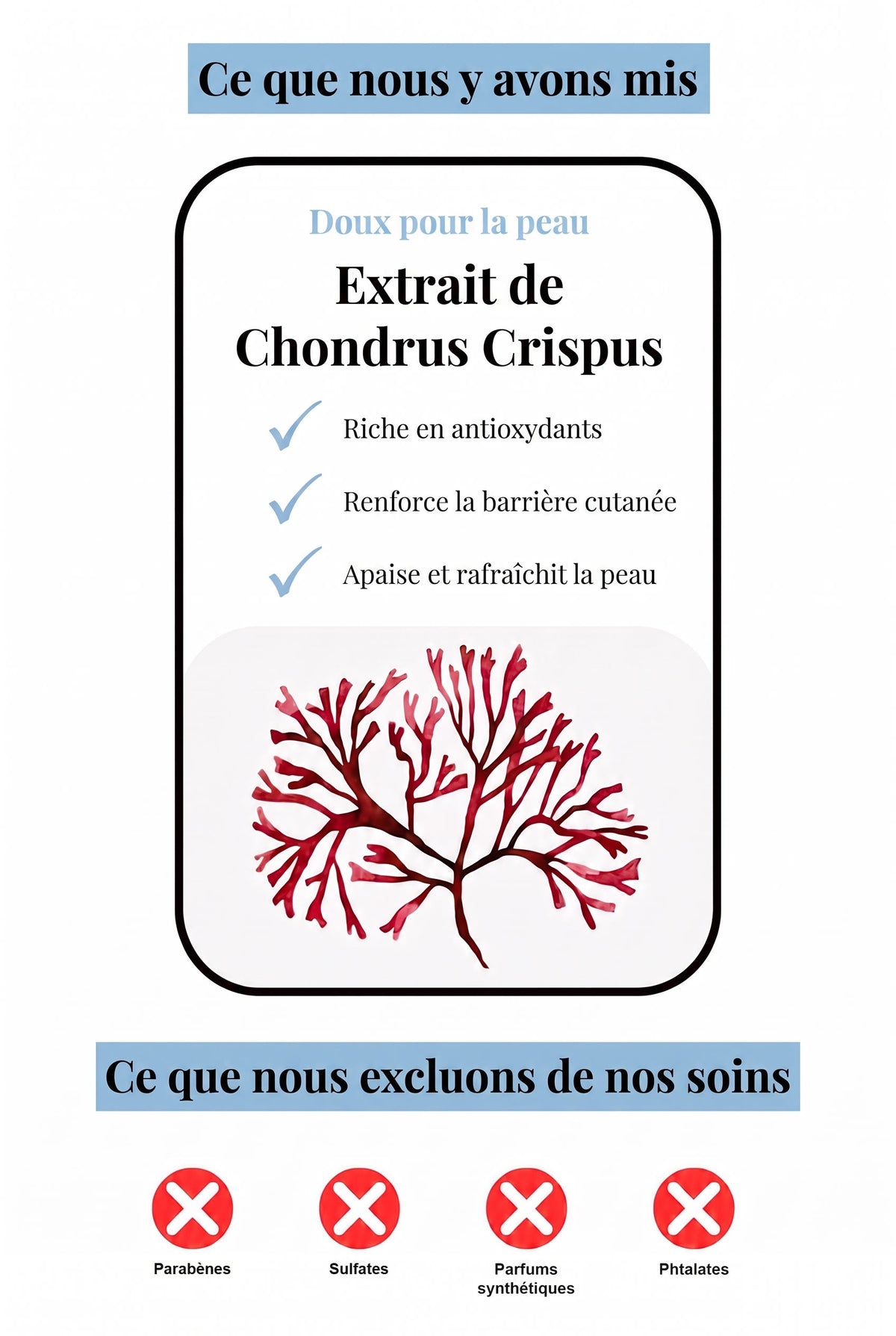 Extrait de Chondrus Crispus